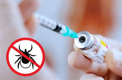 Вакцинация от энцефалита: защита летом за 2500 руб - Альфа Клиника