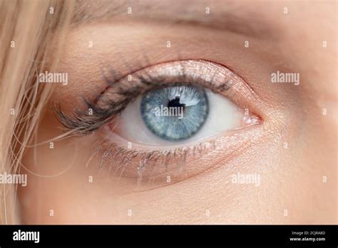 macro image of beautiful blue eye. optic, vision, sight, beauty concept ...