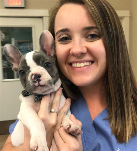 east brunswick animal hospital east brunswick nj 4