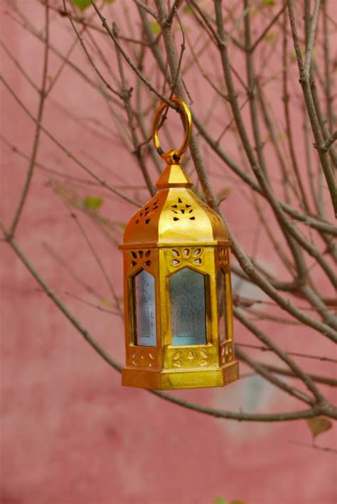 Julepynt - Lille Guldlygte LED - Fuglebjerggaard Netbutik Nordic Seed