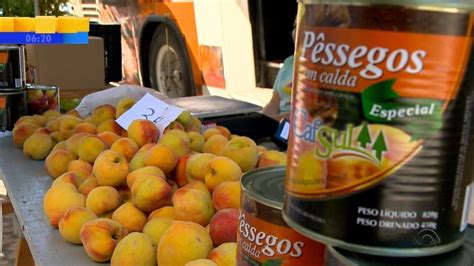 evento marca abertura da colheita  pessego em pelotas rio grande
