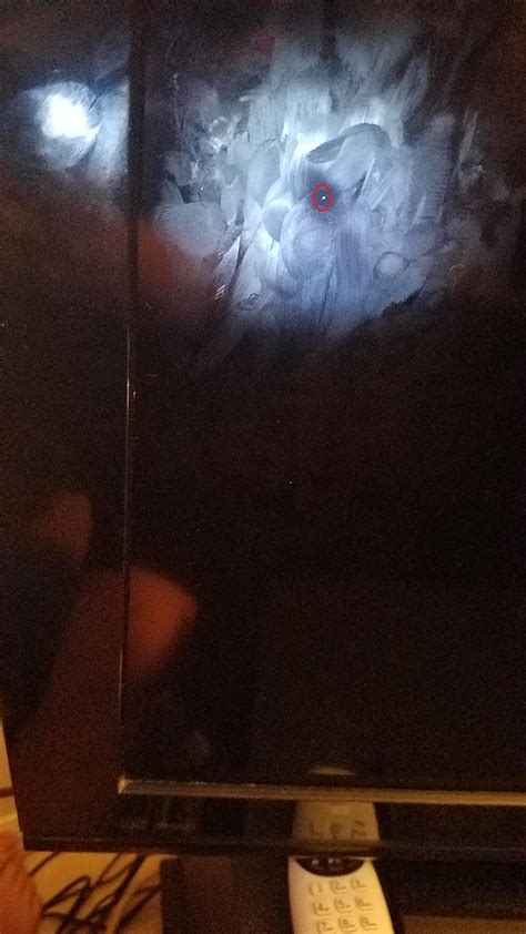 white spot lcd iphone 6