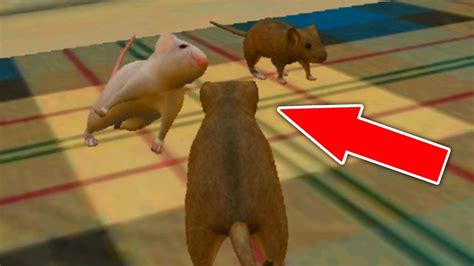 СИМУЛЯТОР МЫШИ #17 ОХОТИТСЯ МЫШЬ построили УТОЧКУ на МОЧАЛКИ в Mouse ...