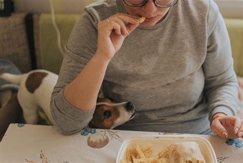 Can Dogs Eat French Fries? Top Risks to Know About