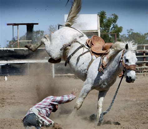 University of Wyoming Cowgirls and Cowboys Win Big at CSU Rodeo