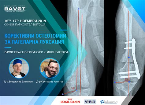 Българска Асоциация по Ветеринарна Ортопедия и Травматология