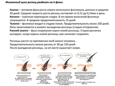Классическое наращивание ресниц. Базовый курс - презентация онлайн