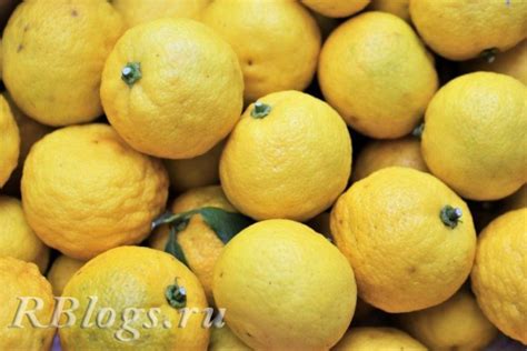 ᐉ Юдзу: что это за фрукт и как его едят + полезные свойства