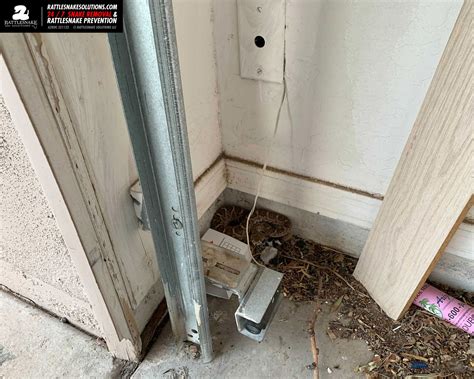 It's Rattlesnake in the Garage Season – How you can prevent it now
