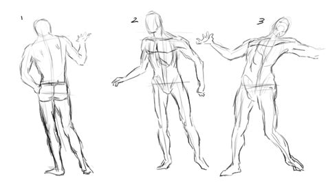 male figure studies part  artloadernet