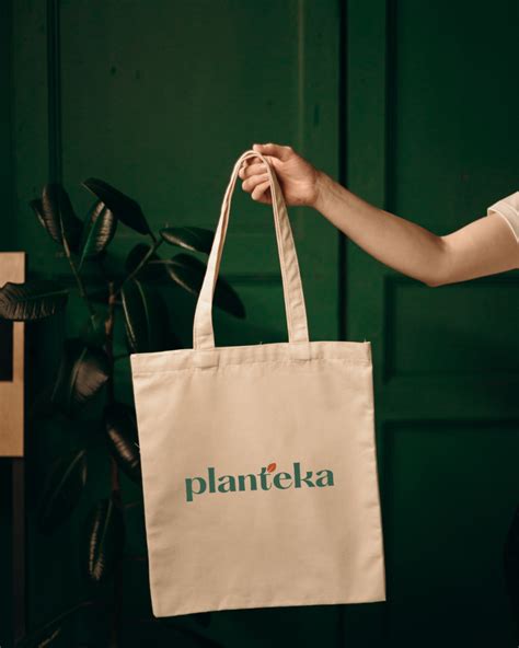A Guide for Buying New Plants – Planteka Community Blog