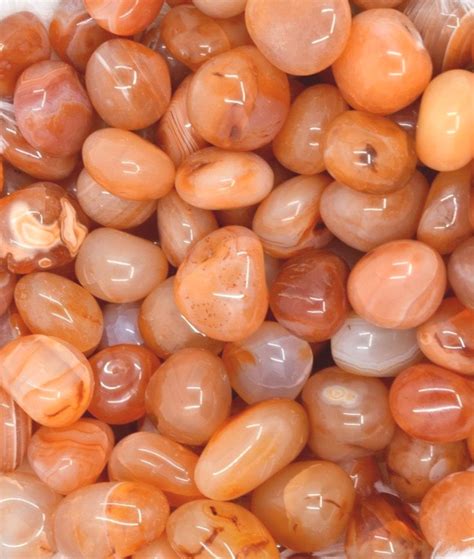 CARNELIAN — T I N Y B A N D I T