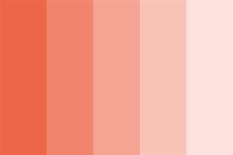 Amerikan Color Palette