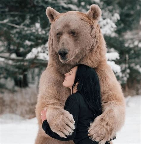 https://thecreativeham.com/blog/stepan-the-bear-stole-your-girl/ | Tier ...