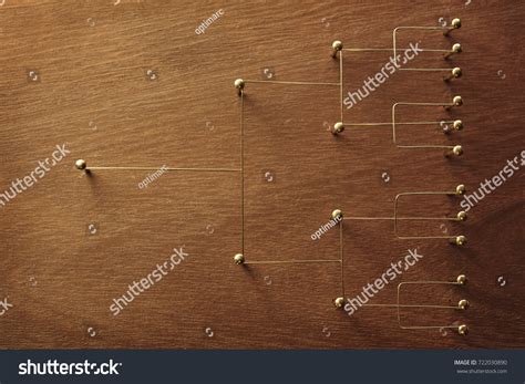 government structure images stock  vectors shutterstock