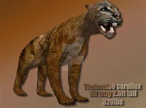 Thylacoleo Profile by YappArtiste on DeviantArt