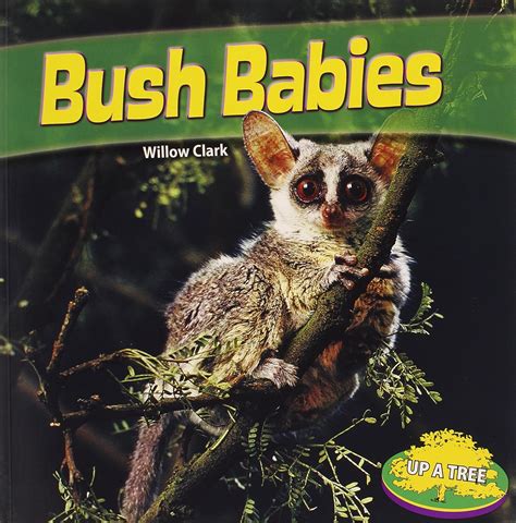 Bush Babies (Up a Tree): Clark, Willow: 9781448863358: Amazon.com: Books