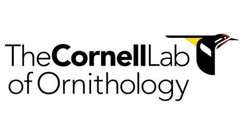 Cornell Logo Vector at Vectorified.com | Collection of Cornell Logo ...