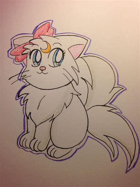 Halo the kitty cat by Maliyah300 on deviantART