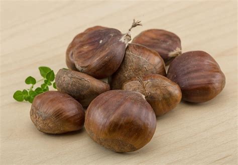 Premium Photo | Chestnut