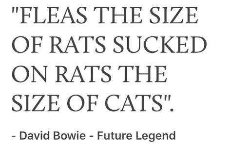 Ah yes, of course. : r/davidbowiecirclejerk