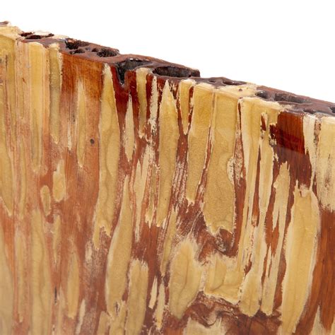 Pecky Cypress: Everything You Need to Know - Old Town Timber