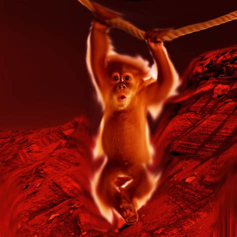 Russia Wants to Send Monkeys to Mars