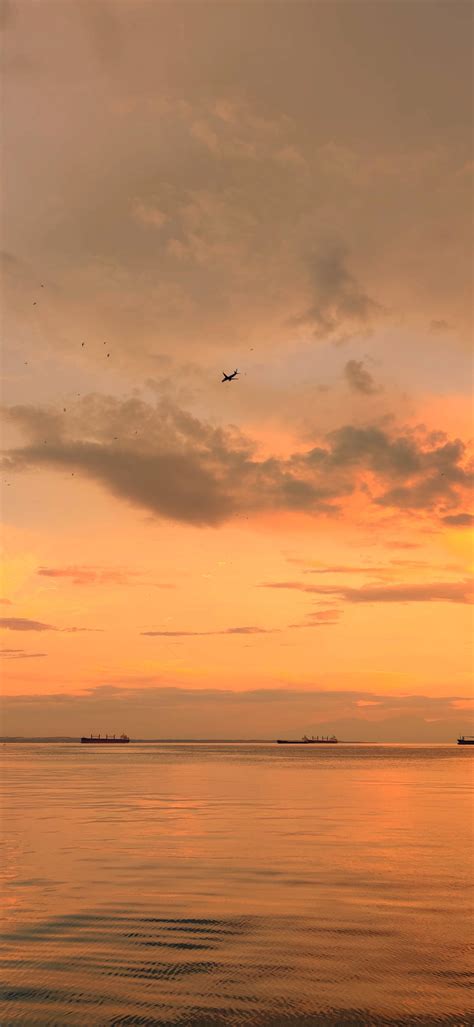 Top 999+ Oneplus 7 Pro Wallpaper Full HD, 4K Free to Use