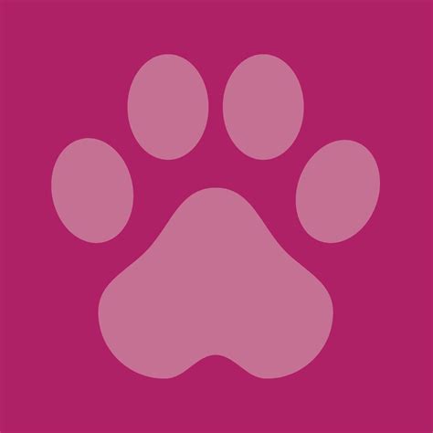Rumford Pet Express