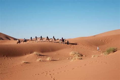DMC Egypt Cairo | Incentive Travel, Destination Management