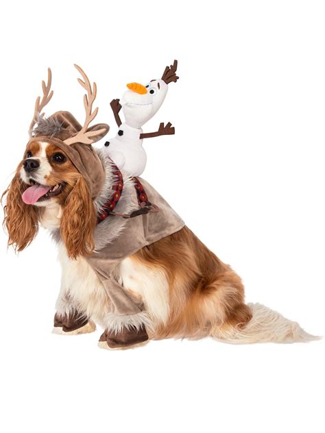 sven costume for dog 7