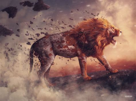 roar behance