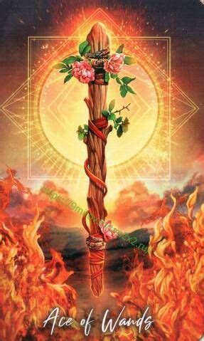 Таро "Мудрость элементалей" The Elemental Wisdom Tarot (галерея) | Arte ...