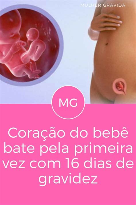 Com Quantas Semanas O Coracao Do Bebe Comeca A Bater - Coração do bebe | Coração do bebê bate pela primeira vez com 16 dias de ...
