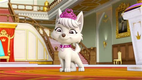Pin on Patrulla de cachorros | Paw patrol, Paw patrol pups, Pup