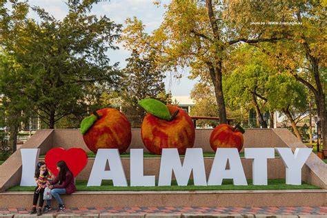 Фотограф Максим Золотухин - Алматы