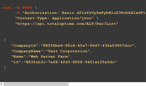 Cloud DNS Service - Cloud DNS IPV6 - Hosted DNS - Total Uptime®