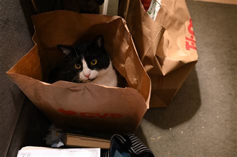 Reviewers are arguing over which bag for moving is best