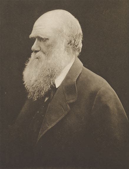 Julia Margaret Cameron | Charles Darwin. | MutualArt