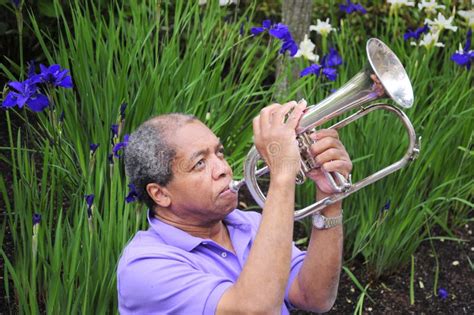 Jazz Musician stock photo. Image of people, expressions - 5374114