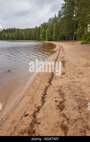 Helvetinjarvi National Park, Finland Stock Photo - Alamy