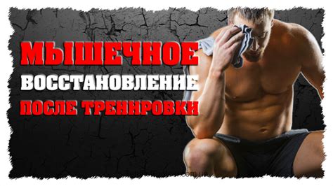 Сколько нужно времени для восстановления мышц: Восстановление после ...