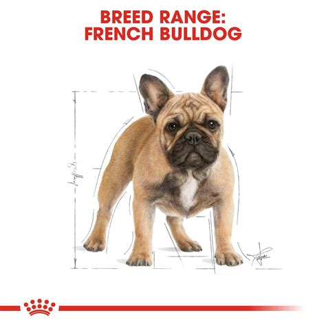 ROYAL CANIN® French Bulldog Adult 9kg – Superpet Warehouse