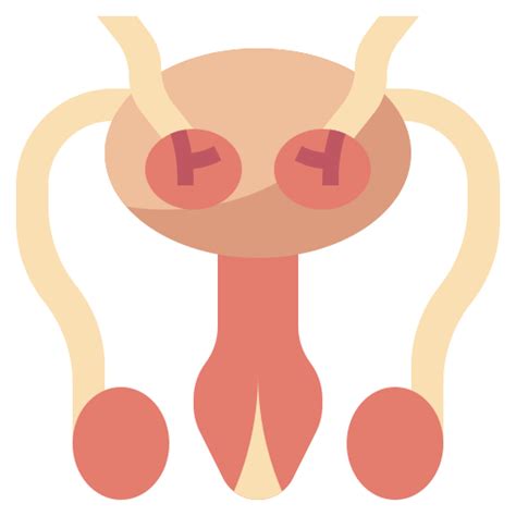Reproductive system Surang Flat icon