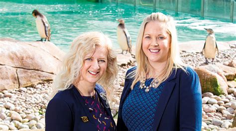 wild experiences working   london zoo finance team aat comment