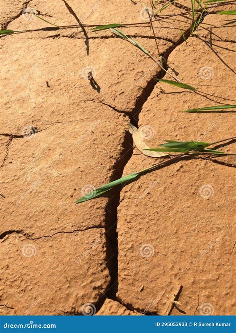 Earth Crack stock image. Image of faults, crust, small - 295053933