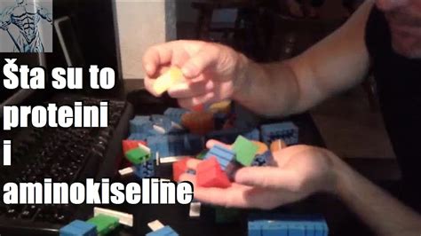 Sta su to proteini i aminokiseline - YouTube