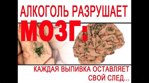 Аудиокниги скачать аллен карр бросить пить бесплатно - YouTube