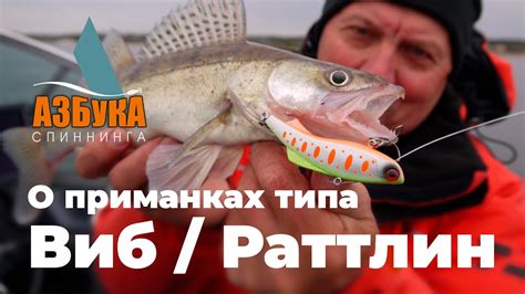 Спиннинг для новичка. Вибы (раттлины). - YouTube