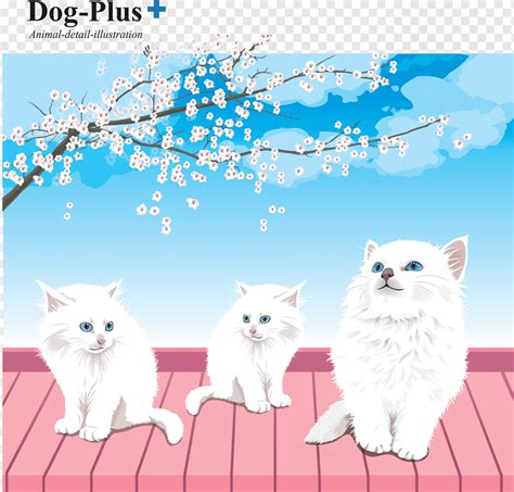 cute white pussy cat png pngwing
